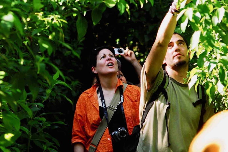 From Tulum: Sian KaAn Muyil Lagoon Tour - Authenticity and Value