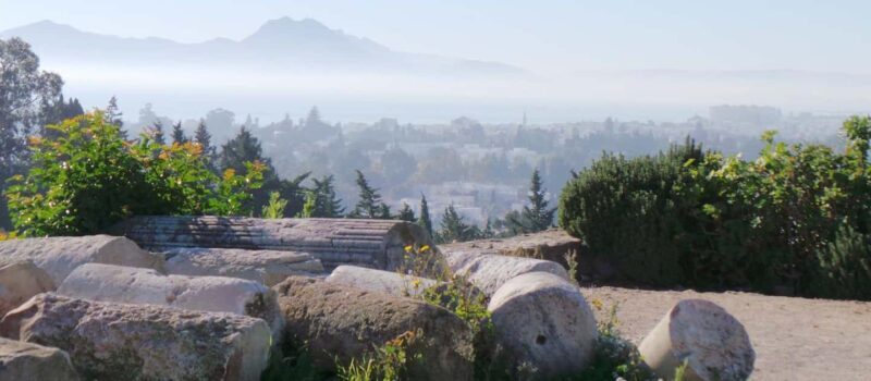 From Tunis/Sousse: Medina Carthage, Sidi Boussaid Tour - Key Points