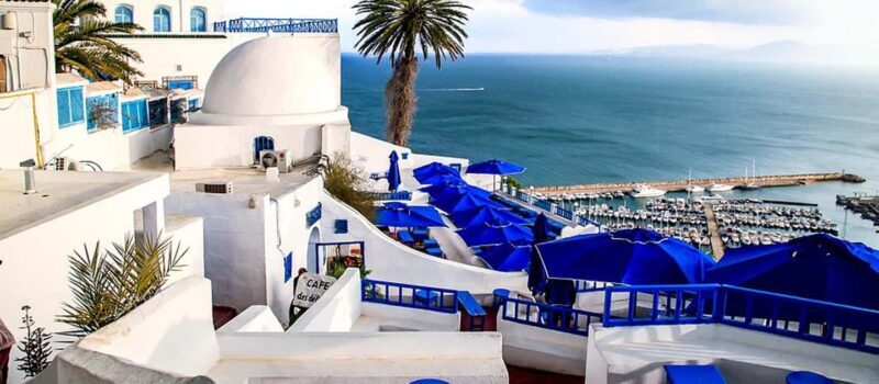 From Tunis/Sousse: Medina Carthage, Sidi Boussaid Tour - A Closer Look at the Itinerary