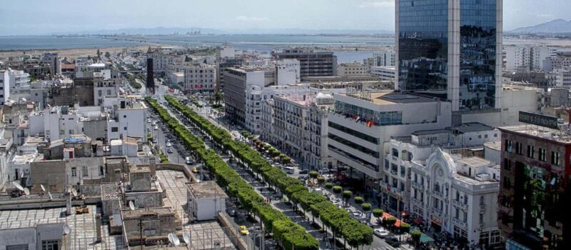 From Tunis/Sousse: Medina Carthage, Sidi Boussaid Tour - Authentic Experiences and Practical Insights
