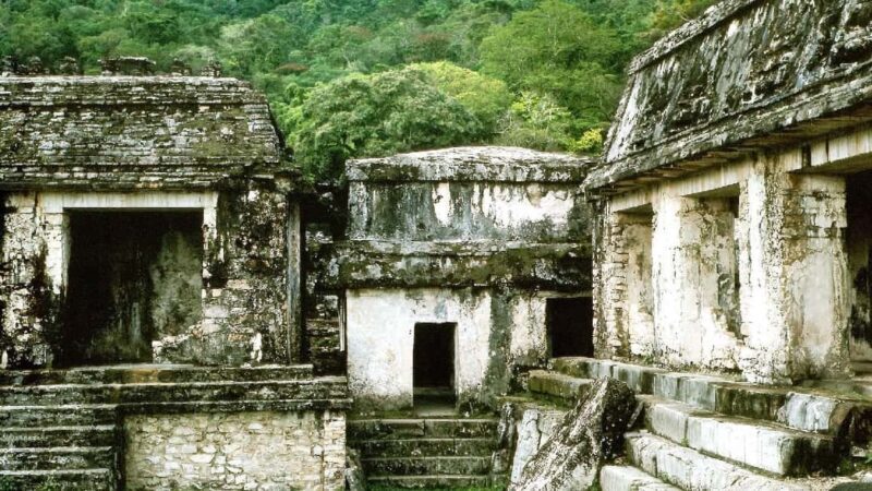 From Tuxtla Gutierrez: Palenque & Chiapas 4-Day Tour - Key Points