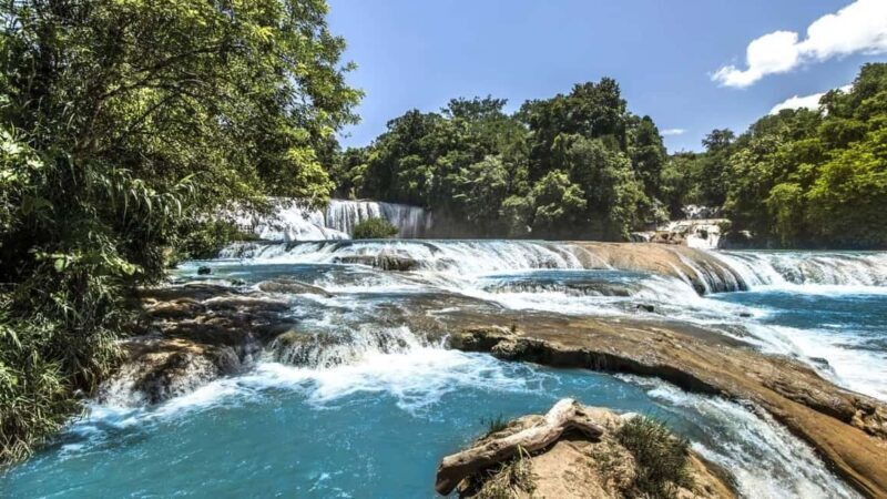From Tuxtla Gutierrez: Palenque & Chiapas 4-Day Tour - Authentic Experiences & Traveler Insights