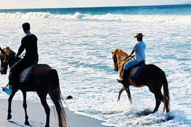 From Ubud 1 Hour Horse Riding at The Beach Experiences - The Value of This Experience
