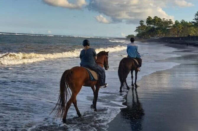 From Ubud 1 Hour Horse Riding at The Beach Experiences - Authentic Details from Reviewers