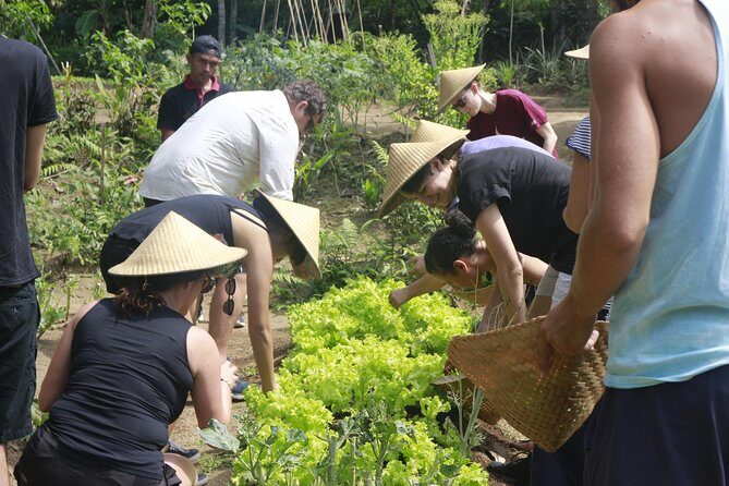 From Ubud: Authentic Bali Farm Cooking School & Organic Farm - The Sum Up: Who Is This Tour Perfect For?