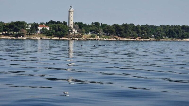 From Umag: Boat Tour to Savudrija with Swimming and Dolphins - An Honest Look at the Experience