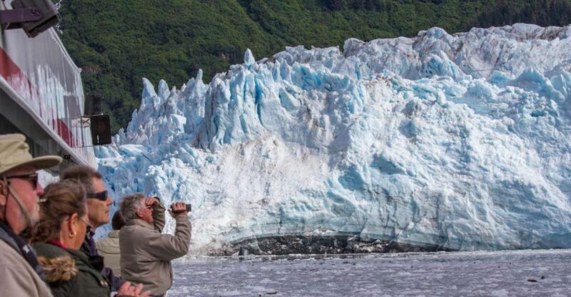 From Valdez: 7.5-hour Meares Glacier & Wildlife Cruise - Authentic Experiences from Fellow Travelers