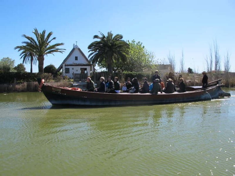 From Valencia: Albufera Natural Park Bus, Cruise and Lunch - Key Points