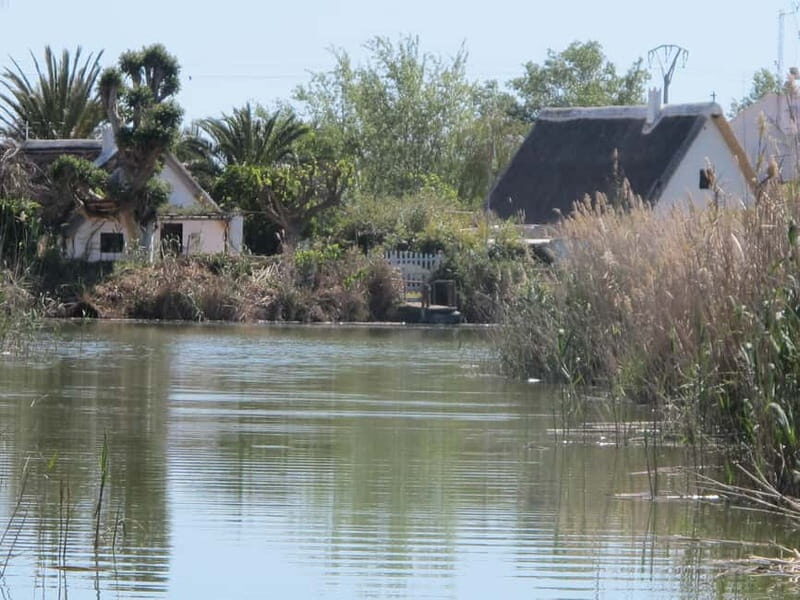From Valencia: Albufera Natural Park Bus, Cruise and Lunch - Exploring the Albufera Experience in Detail