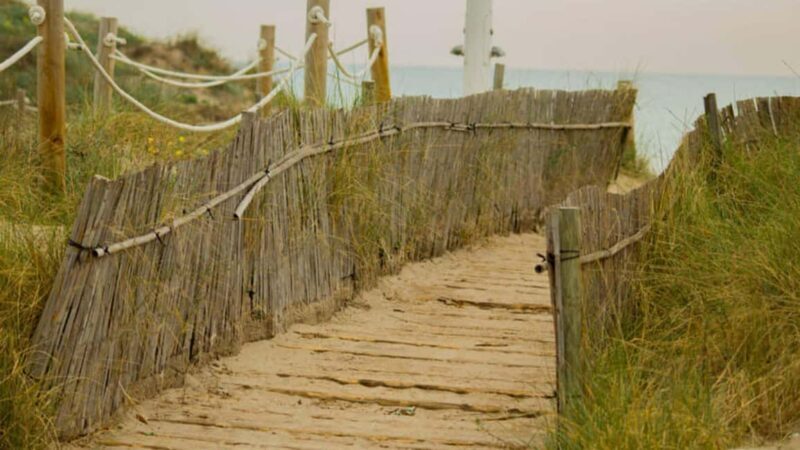 From Valencia: Albufera Natural Park Eco Boat Tour & Sunset - An In-Depth Look at the Experience