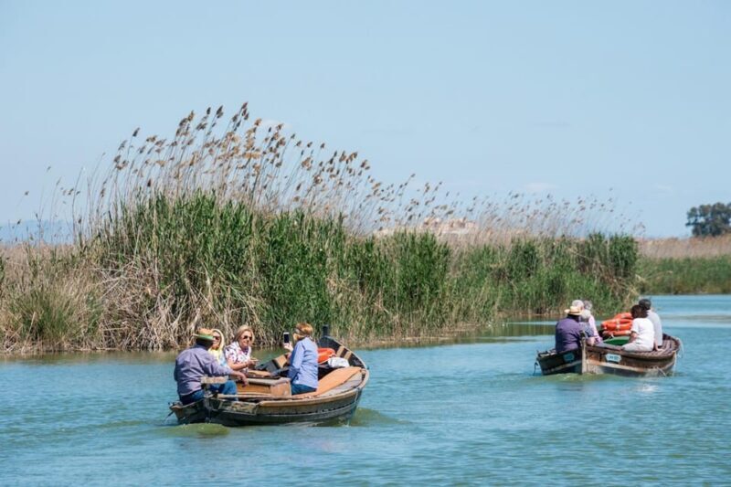 From Valencia: Albufera Private Tour, Paella & Boat Ride - The Value of This Experience