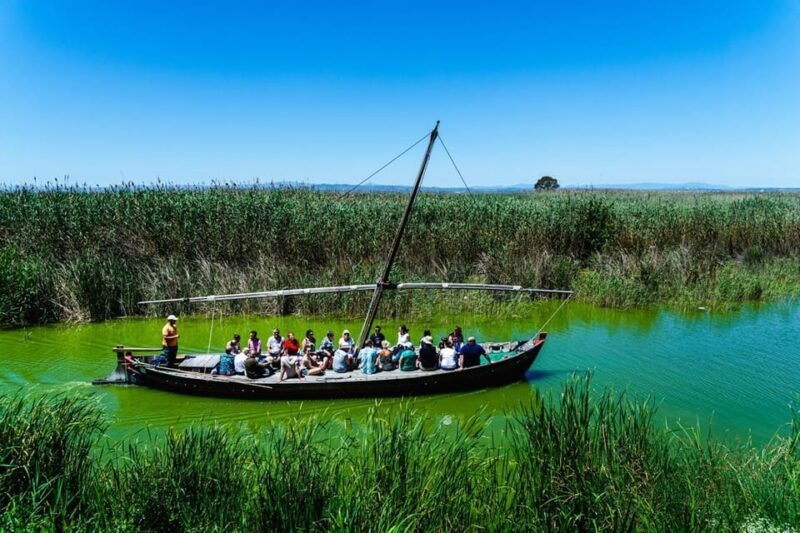 From Valencia: Albufera Private Tour, Paella & Boat Ride - Who Should Consider This Tour?