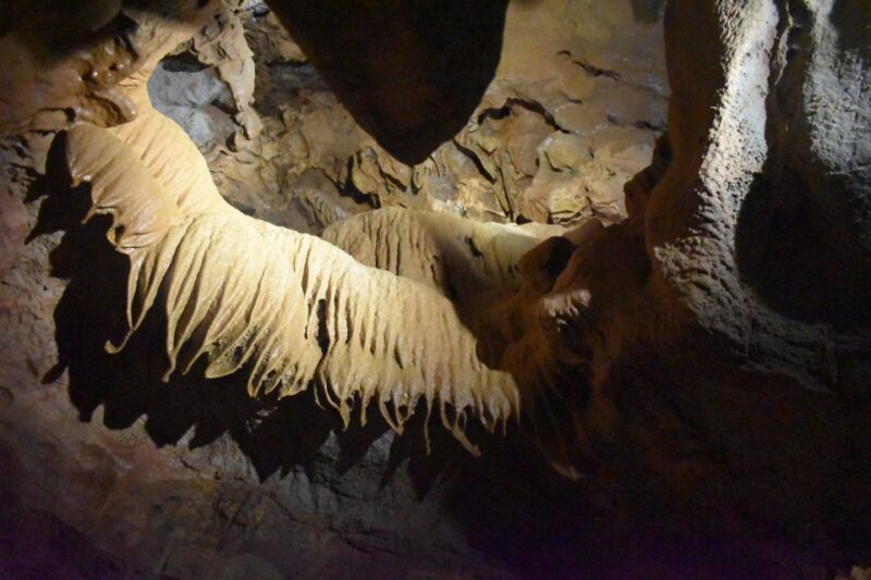 From Valencia: Caves of San José Guided Excursion and Ticket - Exploring the Experience: What to Expect