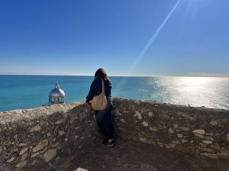 From Valencia: Day Trip to Peñiscola with Castle Visit - Who Will Love This Tour?