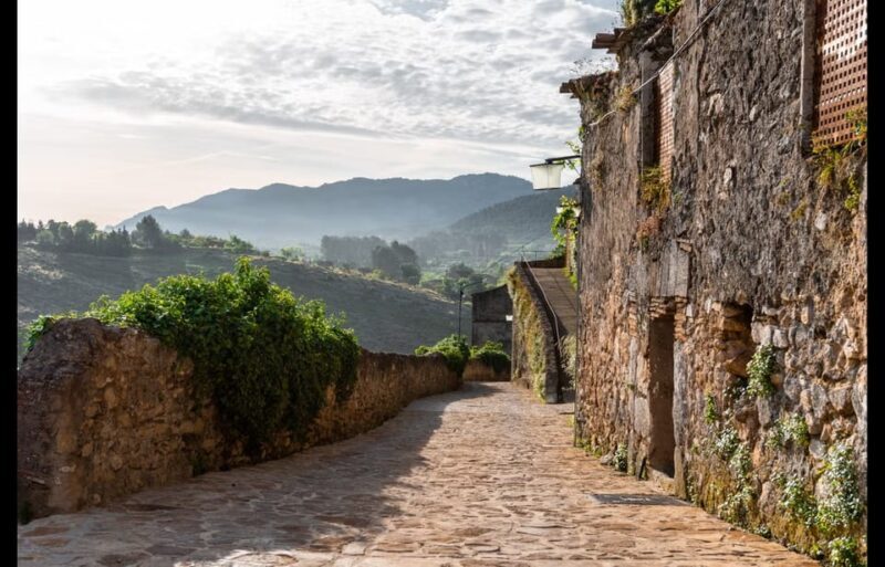 From Valencia: Discover the Medieval Splendour of Bocairent - Key Points