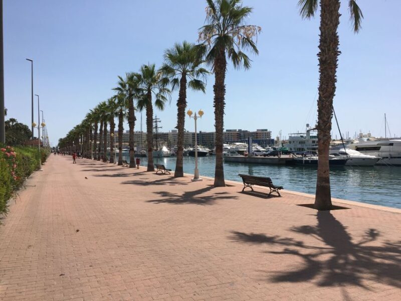 From Valencia: Private Day Trip to Alicante with Local Guide - Key Points