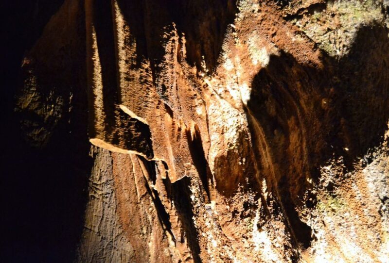 From Valencia: Private Half Day-Trip to Cuevas de San José - The Sum Up
