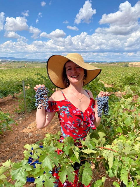 From Valencia: Utiel-Requena Wine Tour and Traditional Lunch - The Experience: Authentic, Educational, and Delightful