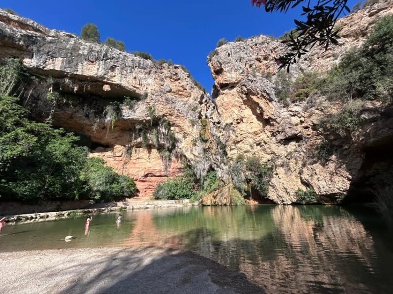 From Valencia: Wine Tasting + Nature exploration - Authentic Experiences and Highlights from Reviews