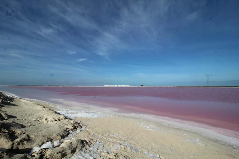 From Valladolid: Flamingo Tour, Rio Lagartos, Las Coloradas, Cenote + Lunch - An In-depth Look at the Flamingo Tour Experience