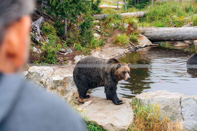 From Vancouver: Capilano Suspension Bridge & Grouse Mountain - Exploring the North Shore Rainforest