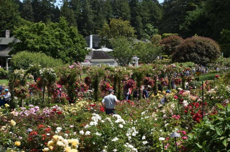 From Vancouver: Victoria & Butchart Gardens Tour with Cruise - Free Time in Victoria and Return Journey