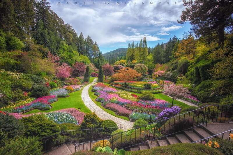 From Vancouver: Victoria City and Butchart Gardens Tour - Key Points