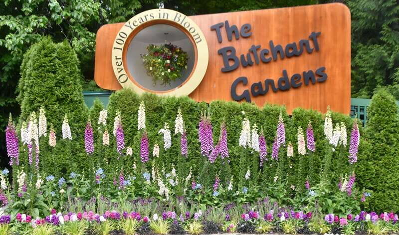 From Vancouver: Victoria City and Butchart Gardens Tour - What Travelers Are Saying