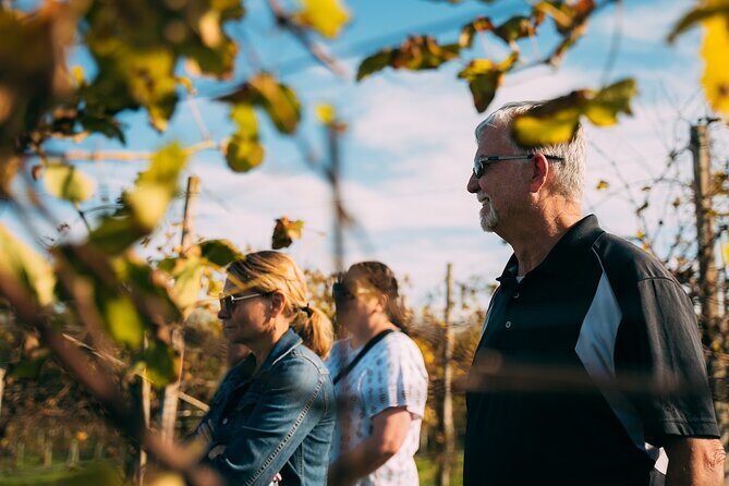 From Venice: Prosecco Wine Region Tour with 2 Tastings - The Sum Up