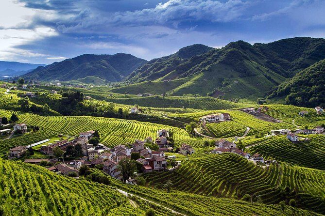 From Venice : Wine and Food tour in the Prosecco Hills - An Authentic Taste of Italys Prosecco Hills