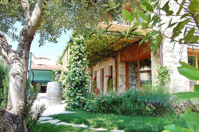 From Venice : Wine and Food tour in the Prosecco Hills - The Scenic Drive and Local Experiences