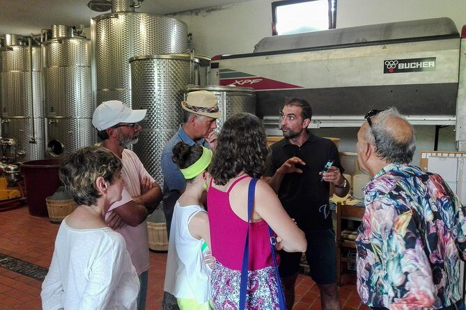 From Venice : Wine and Food tour in the Prosecco Hills - Who Would Enjoy This Tour?