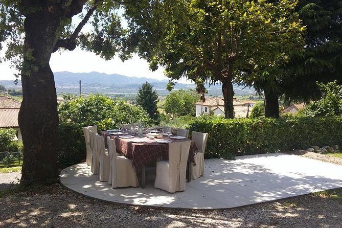 From Venice : Wine and Food tour in the Prosecco Hills - The Sum Up