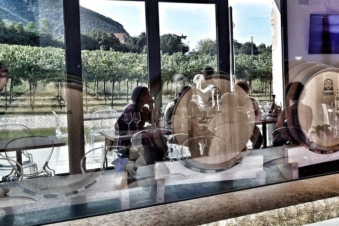 From Venice: Wine Tour in the Euganean Hills - Starting Point and Logistics