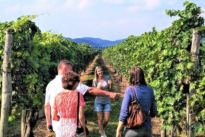 From Venice: Wine Tour in the Euganean Hills - The Guides and Overall Atmosphere