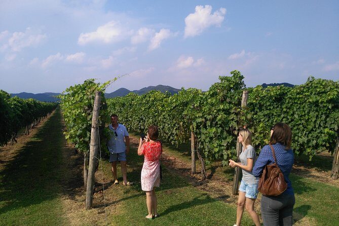 From Venice: Wine Tour in the Euganean Hills - Practical Tips for Enjoying This Tour