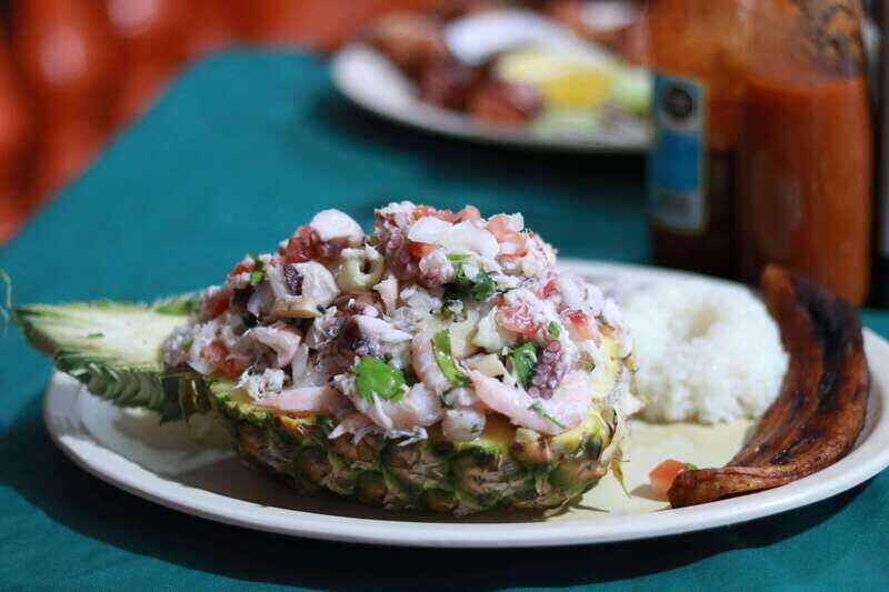 From Veracruz: Nature & Seafood Boat Tour to Madinga - A Scenic Journey to Mandinga: What the Tour Offers