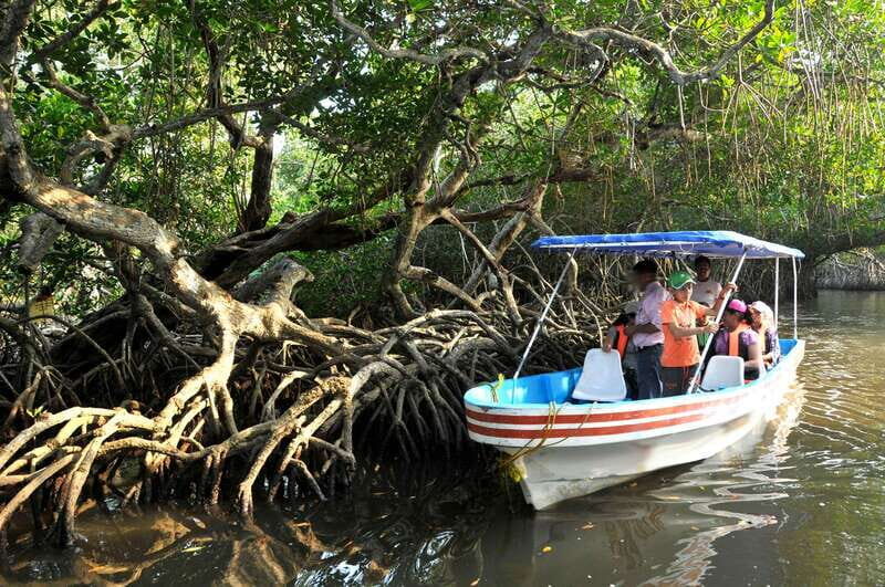 From Veracruz: Nature & Seafood Boat Tour to Madinga - What to Expect and Practical Tips