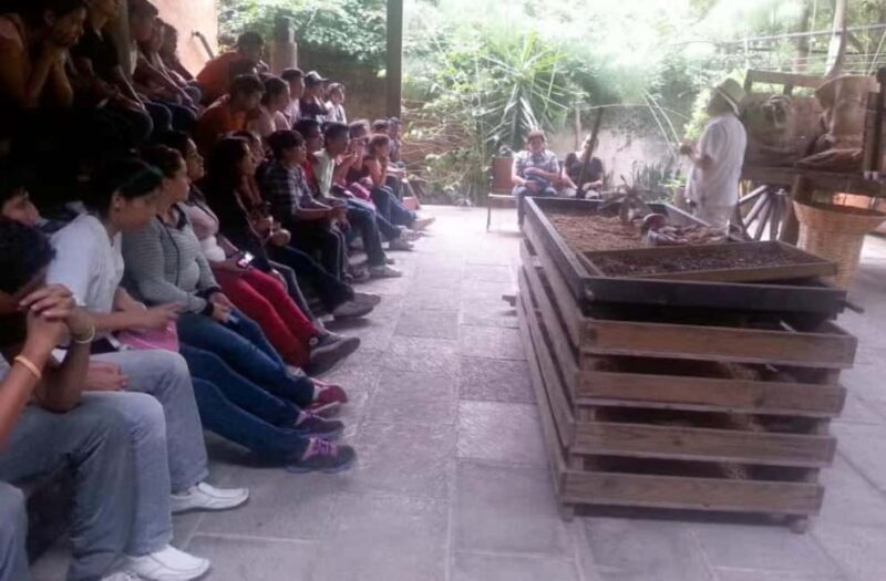 From Veracruz: Xalapa & Coatepec Day Trip - What Travelers Say