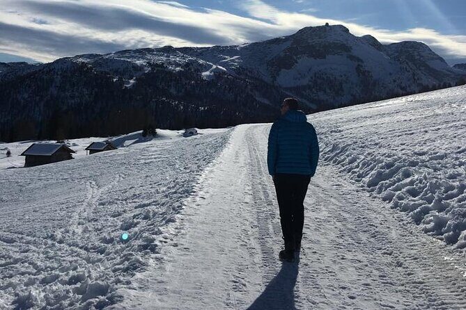 From Verona area: Private day trip to the Dolomites - The Sum Up