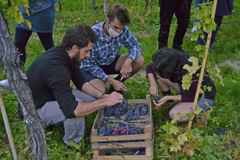 From Verona: Valpolicella Winery Tour with Amarone Vintages - Final Thoughts