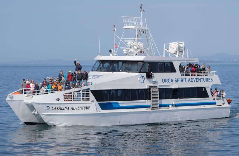 From Victoria: Whale Watching Trip on Covered Boat - The Review Takeaways from Past Travelers
