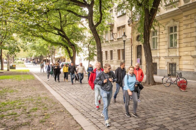 From Vienna: Bratislava Grand City Day Tour - Introduction: What to Expect from the Vienna to Bratislava Tour