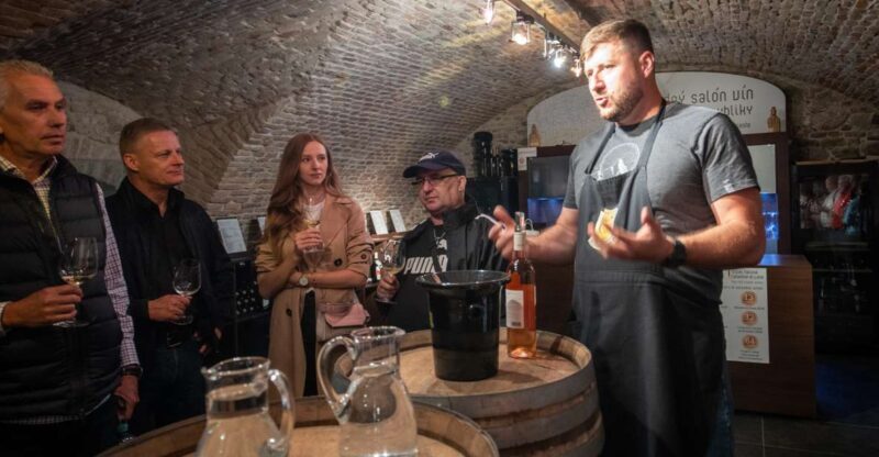 From Vienna: Explore the Tastes of Bratislava on a Day Trip - A Deep Dive into the Experience