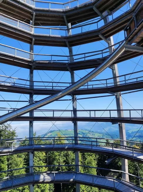 From Vienna: Hallstatt and Treetop Path Private Day Trip - From Vienna: Hallstatt and Treetop Path Private Day Trip — A Deep Dive