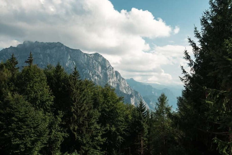 From Vienna: Hallstatt and Treetop Path Private Day Trip - Key Points