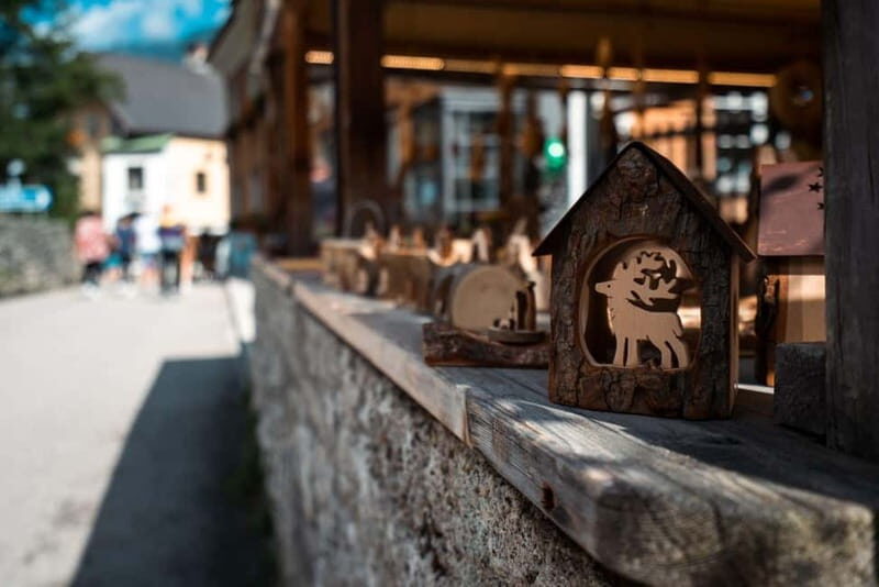 From Vienna: Hallstatt and Treetop Path Private Day Trip - Why This Tour Works Well