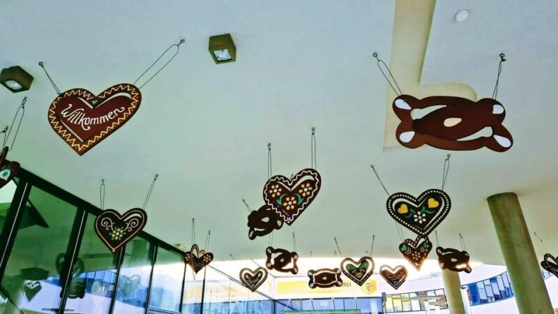 From Vienna: Private tour to Mariazell - Who Will Love This Tour?