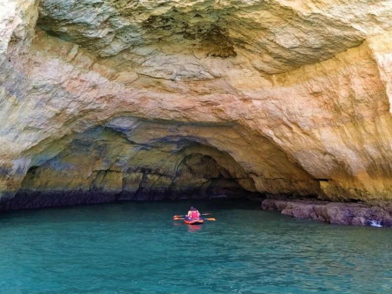 From Vilamoura: 2.5-Hour Benagil Cave and Dolphins Boat Tour - Price and Value