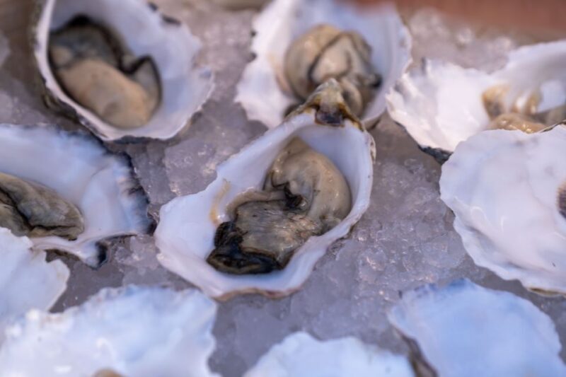 From Vilamoura: Sunset Catamaran Experience - Final Thoughts: Is It Worth It?